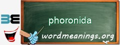 WordMeaning blackboard for phoronida